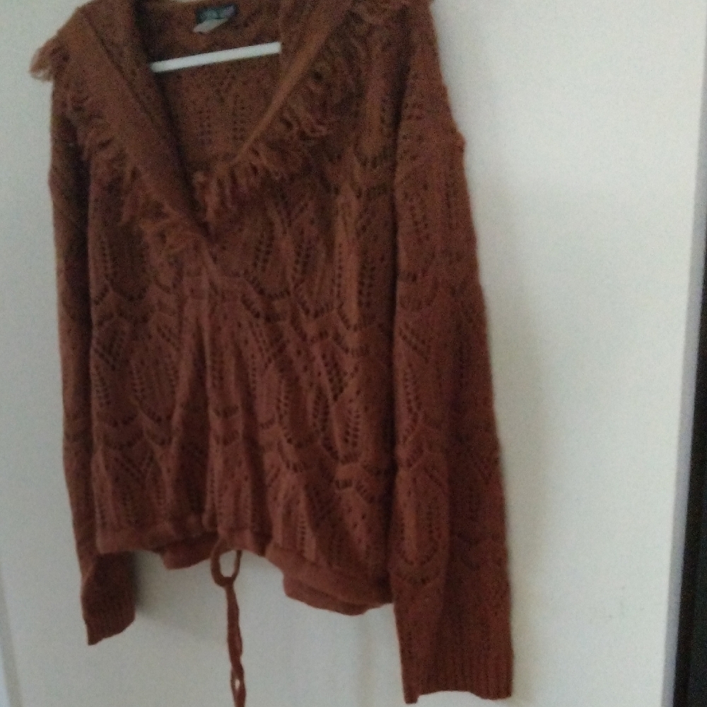 VENUS Rust V-Neck Sweater